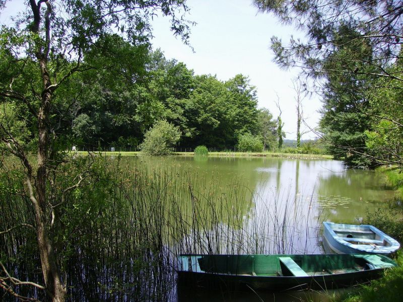 foto 2 Affitto tra privati Bergerac gite Aquitania Dordogna Altra vista