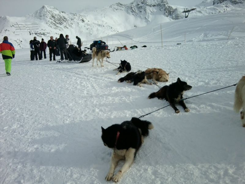 foto 18 Affitto tra privati La Plagne appartement Rodano Alpi Savoia Altra vista