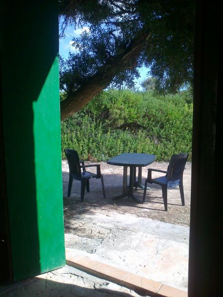 foto 5 Affitto tra privati Campos maison Baleari Maiorca Giardino