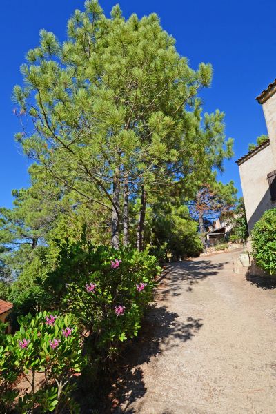 foto 11 Affitto tra privati Porto Vecchio villa Corsica Corsica del Sud Vista esterna della casa vacanze