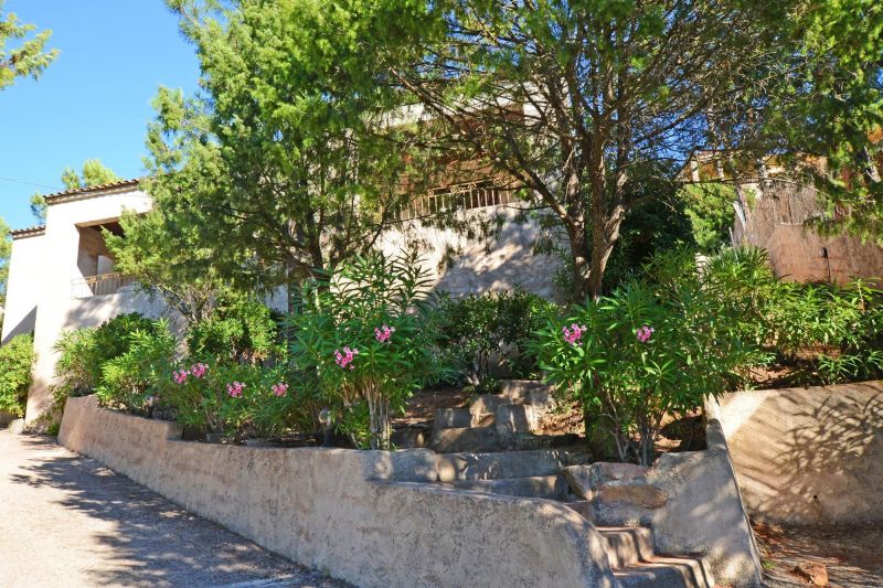 foto 13 Affitto tra privati Porto Vecchio villa Corsica Corsica del Sud Vista esterna della casa vacanze