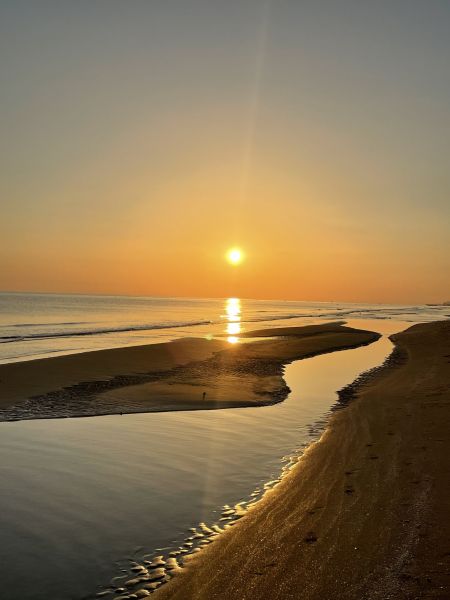 foto 16 Affitto tra privati Gargano appartement Puglia Foggia (provincia di) Spiaggia