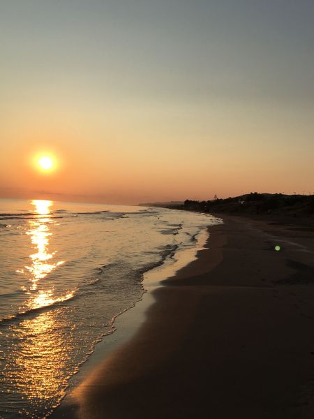 foto 17 Affitto tra privati Gargano appartement Puglia Foggia (provincia di) Spiaggia