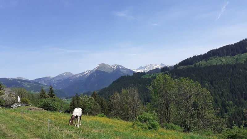 foto 19 Affitto tra privati Morzine studio Rodano Alpi Alta Savoia Vista dalla casa vacanze