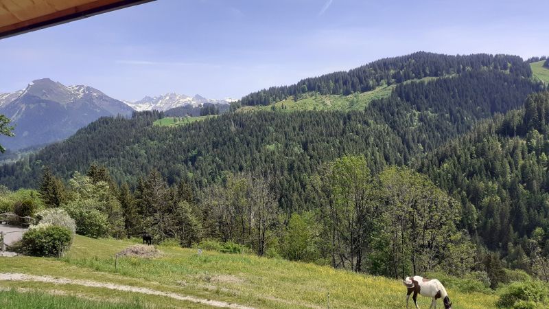 foto 15 Affitto tra privati Morzine studio Rodano Alpi Alta Savoia Vista dalla casa vacanze