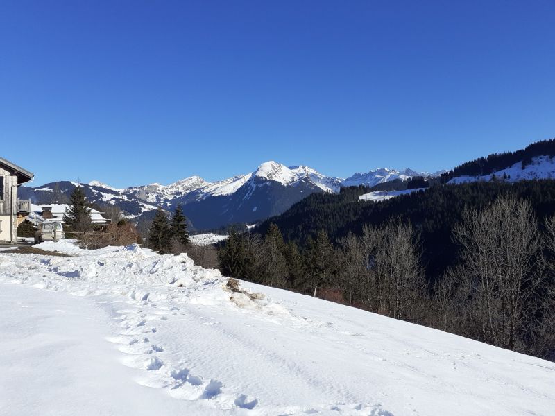 foto 20 Affitto tra privati Morzine studio Rodano Alpi Alta Savoia Vista dalla casa vacanze