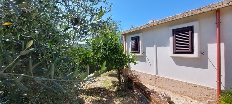 foto 11 Affitto tra privati Peschici bungalow Puglia Foggia (provincia di) Vista esterna della casa vacanze
