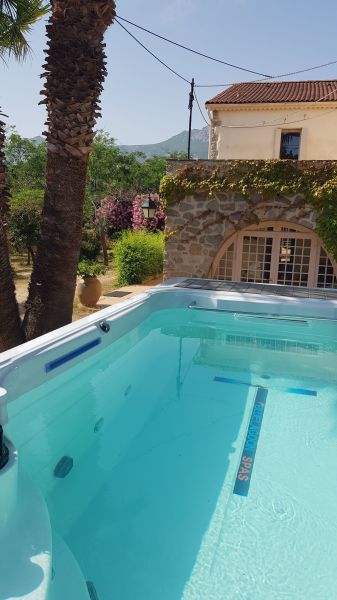 foto 4 Affitto tra privati Calvi maison Corsica Corsica settentrionale Piscina