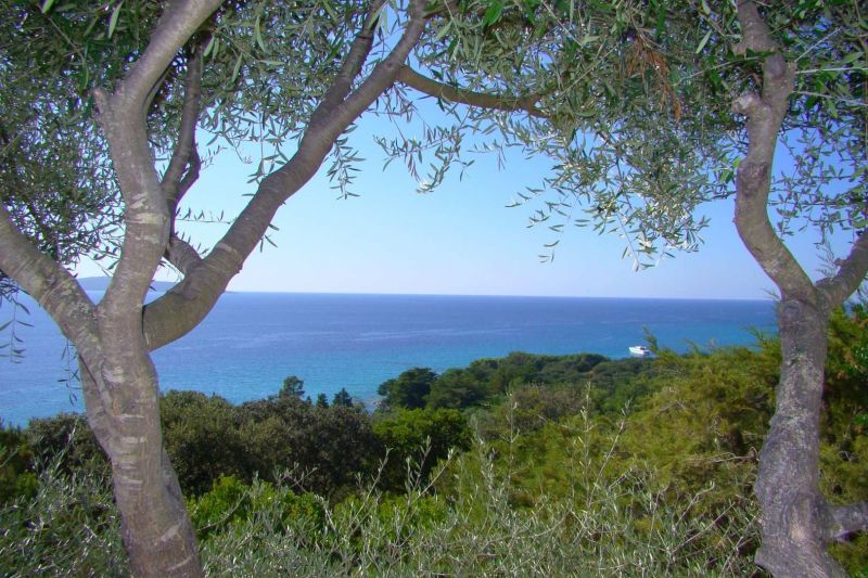 foto 5 Affitto tra privati Propriano villa Corsica Corsica del Sud Vista dal terrazzo