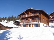 Affitto case montagna Les Saisies: appartement n. 91423