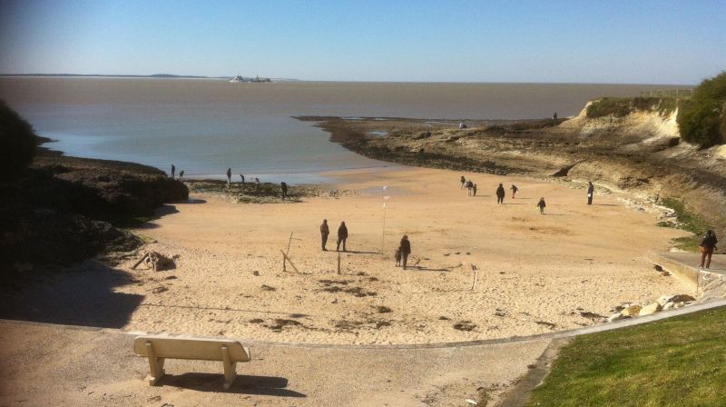 foto 1 Affitto tra privati Vaux sur Mer villa Poitou-Charentes Charente-Maritime Spiaggia