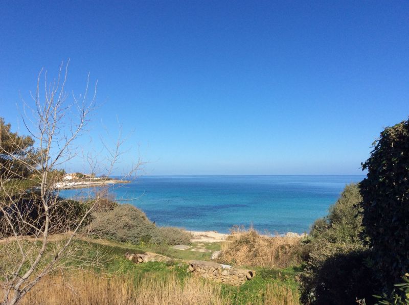 foto 4 Affitto tra privati Lumio appartement Corsica Corsica settentrionale Vista dal terrazzo