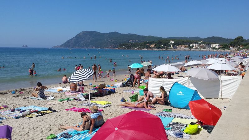 foto 12 Affitto tra privati La Seyne sur Mer gite Provenza Alpi Costa Azzurra Var Spiaggia