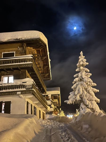 foto 10 Affitto tra privati Chtel appartement Rodano Alpi Alta Savoia Vista esterna della casa vacanze