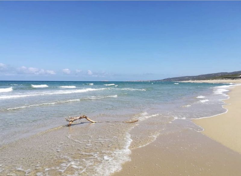 foto 12 Affitto tra privati Badesi villa Sardegna Olbia Tempio (provincia di) Spiaggia