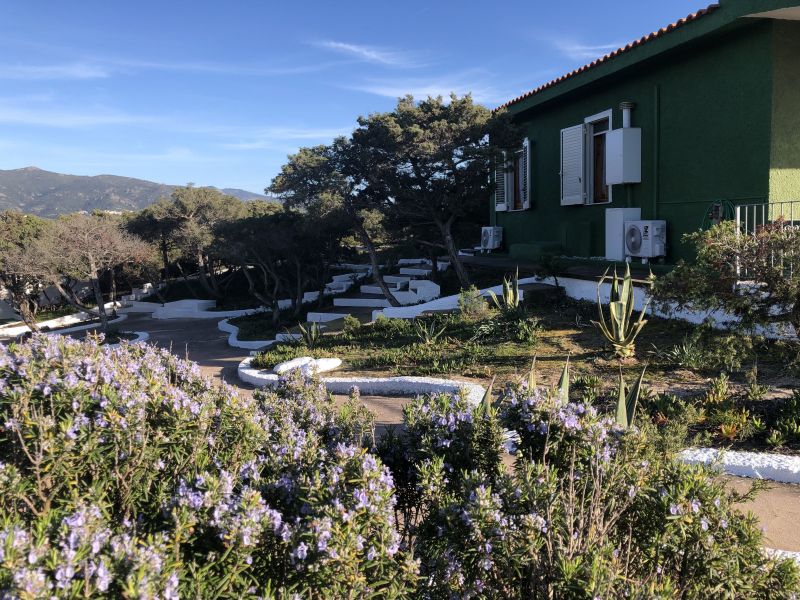 foto 24 Affitto tra privati Badesi villa Sardegna Olbia Tempio (provincia di) Giardino