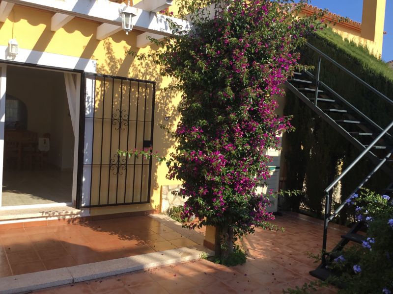 foto 19 Affitto tra privati Dnia maison Comunit Valenzana Alicante (provincia di) Terrazzo 2