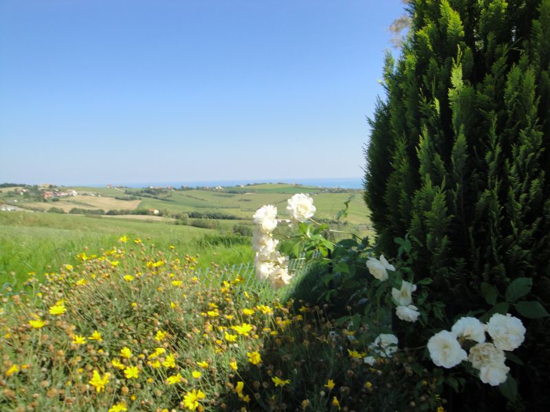 foto 4 Affitto tra privati Pesaro appartement Marche Pesaro Urbino (provincia di) Vista esterna della casa vacanze