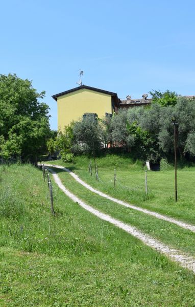 foto 18 Affitto tra privati Bardolino appartement Veneto Verona (provincia di) Giardino