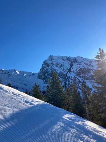 foto 16 Affitto tra privati Manigod-Croix Fry/L'tale-Merdassier studio Rodano Alpi Alta Savoia Vista nelle vicinanze