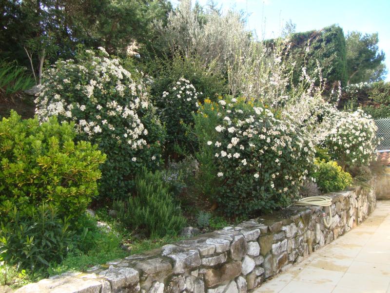 foto 16 Affitto tra privati Cassis villa Provenza Alpi Costa Azzurra Bocche del rodano Giardino