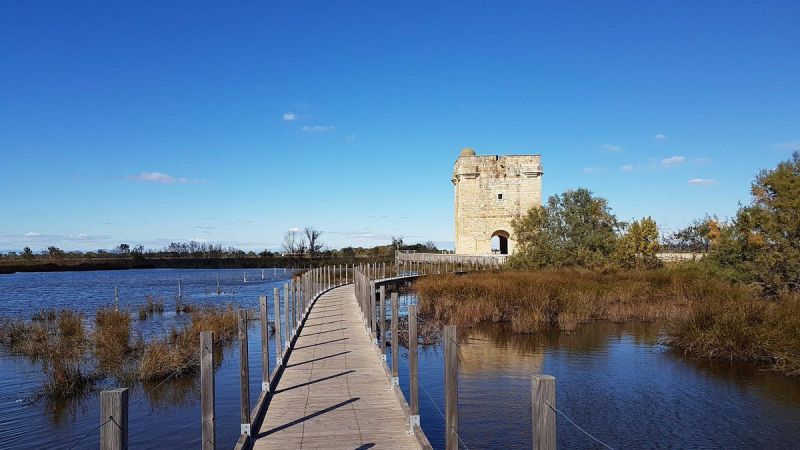 foto 23 Affitto tra privati Aigues Mortes villa Linguadoca-Rossiglione Gard Vista nelle vicinanze