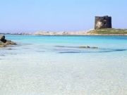 Affitto case vacanza Golfo Dell'Asinara per 4 persone: appartement n. 86187