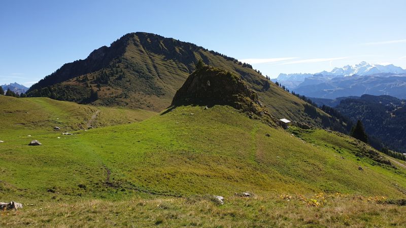 foto 14 Affitto tra privati Praz de Lys Sommand studio Rodano Alpi Alta Savoia